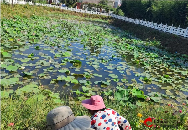 ​西平县柏城街道：人居环境换“新颜” 描绘宜居新画卷